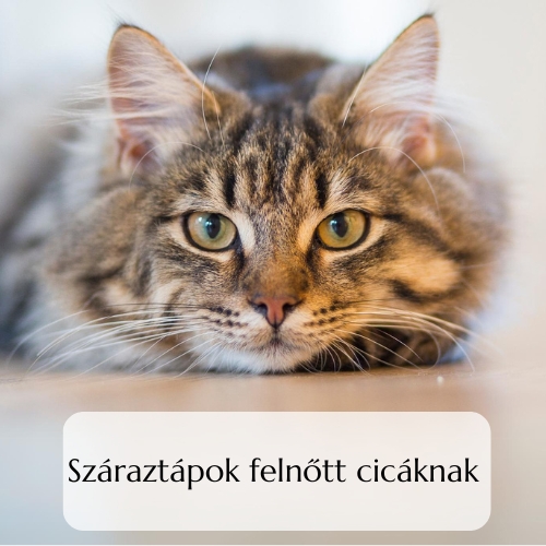 Száraztáp felnőtt cicáknak